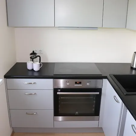 Lille With A Sunny Balcony 公寓 *