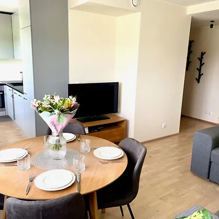 Lille With A Sunny Balcony 公寓