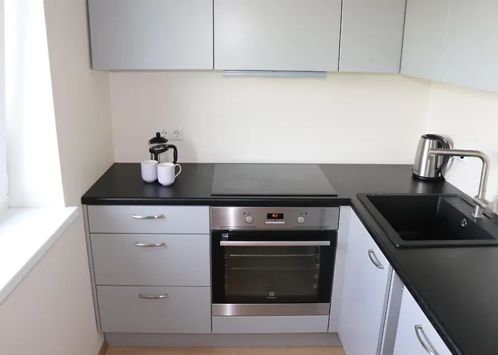 Lille With A Sunny Balcony 公寓 *