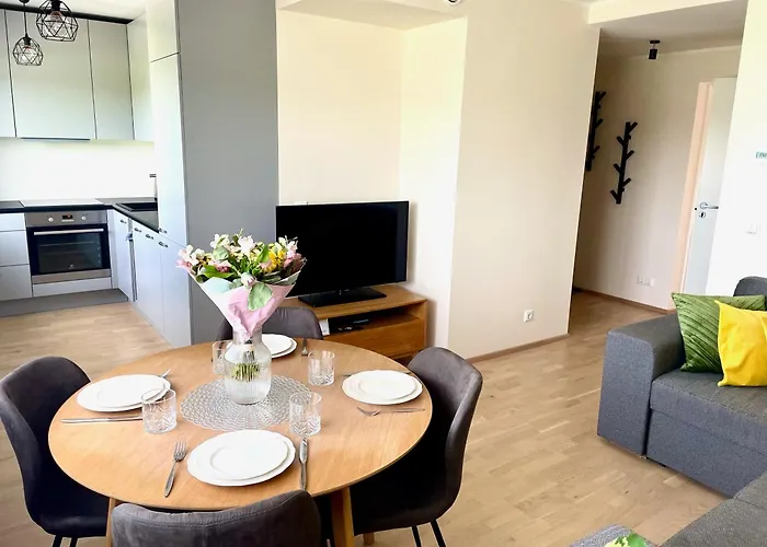 Lille With A Sunny Balcony 公寓