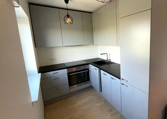 公寓 Lille With A Sunny Balcony *